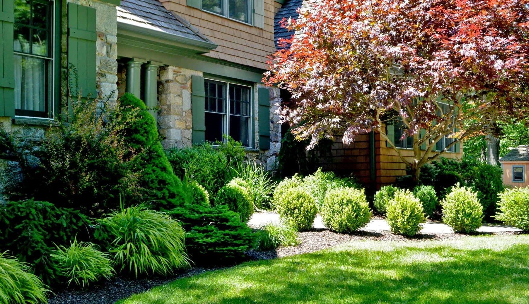 Tree & Shrub Planting Services in Nokesville, TX