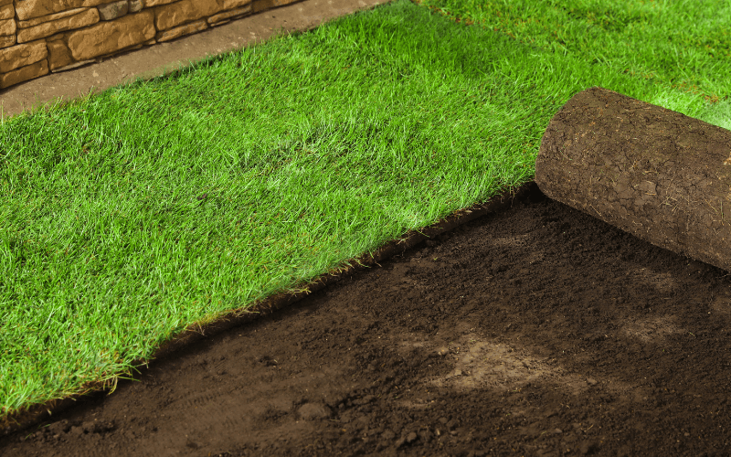 Sod Installation Services in Nokesville, TX